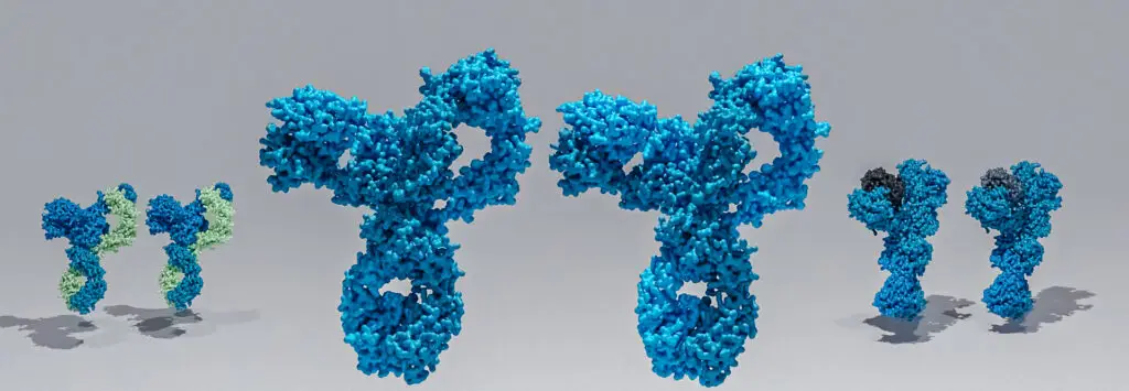 Biosimlar Assessment Service. 3d render of several similar antibodies